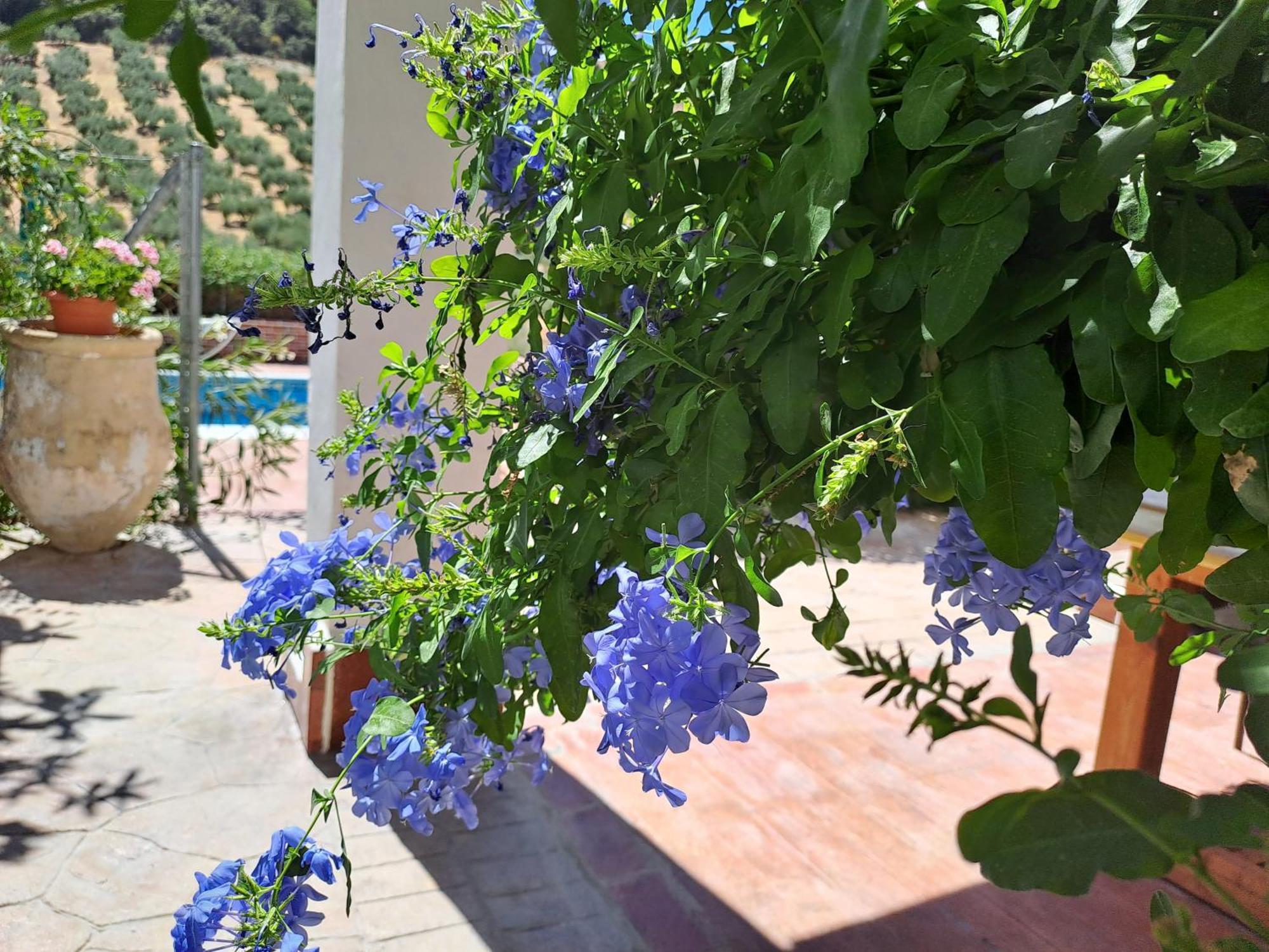 Cortijo Berruguilla Villa Lojilla Kültér fotó
